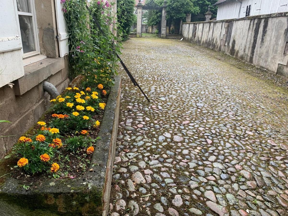 Les Jardins D'Elise, Calme Et Verdure A Lure Lure  Zewnętrze zdjęcie