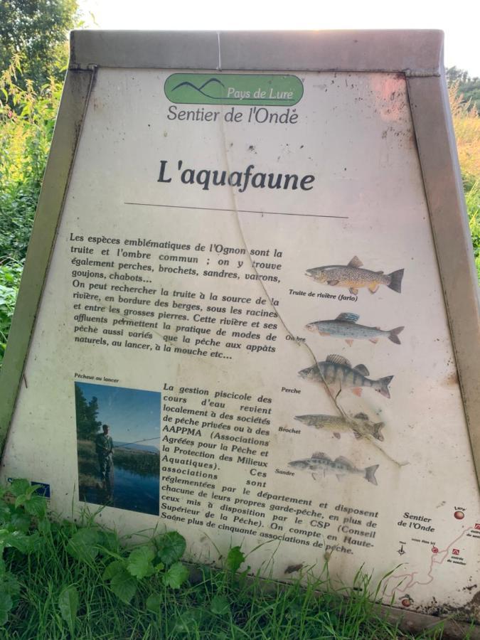 Les Jardins D'Elise, Calme Et Verdure A Lure Lure  Zewnętrze zdjęcie