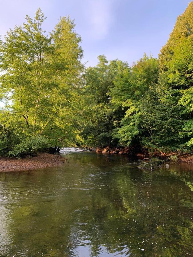 Les Jardins D'Elise, Calme Et Verdure A Lure Lure  Zewnętrze zdjęcie